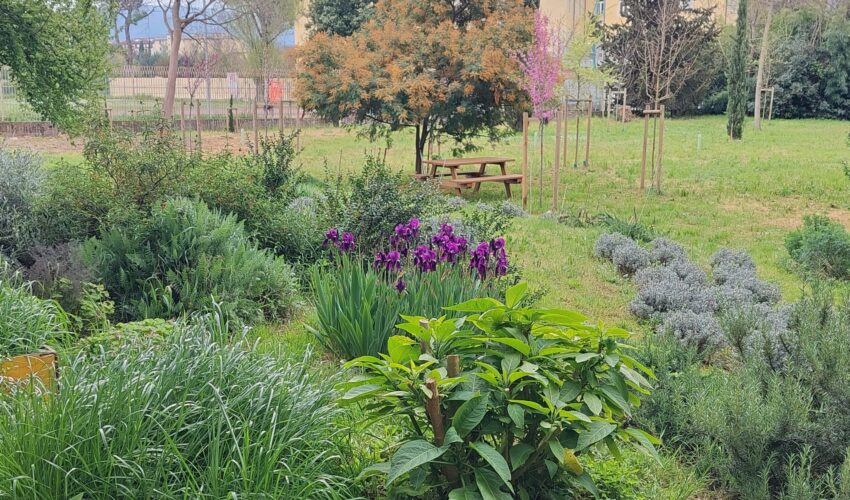 Il giardino del Gramsci è sempre più bello.